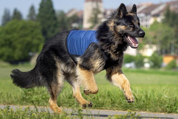 canicool Kühlwesten für Hunde mit konstanter 21°C (Bio PCM)