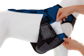 Gilets rafraîchissants Canicool pour chiens avec une température constante de 21°C (Bio PCM)