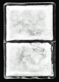 canicool Kühlwesten für Hunde mit konstanter 21°C (Bio PCM)