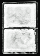 canicool Kühlwesten für Hunde mit konstanter 21°C (Bio PCM)-5